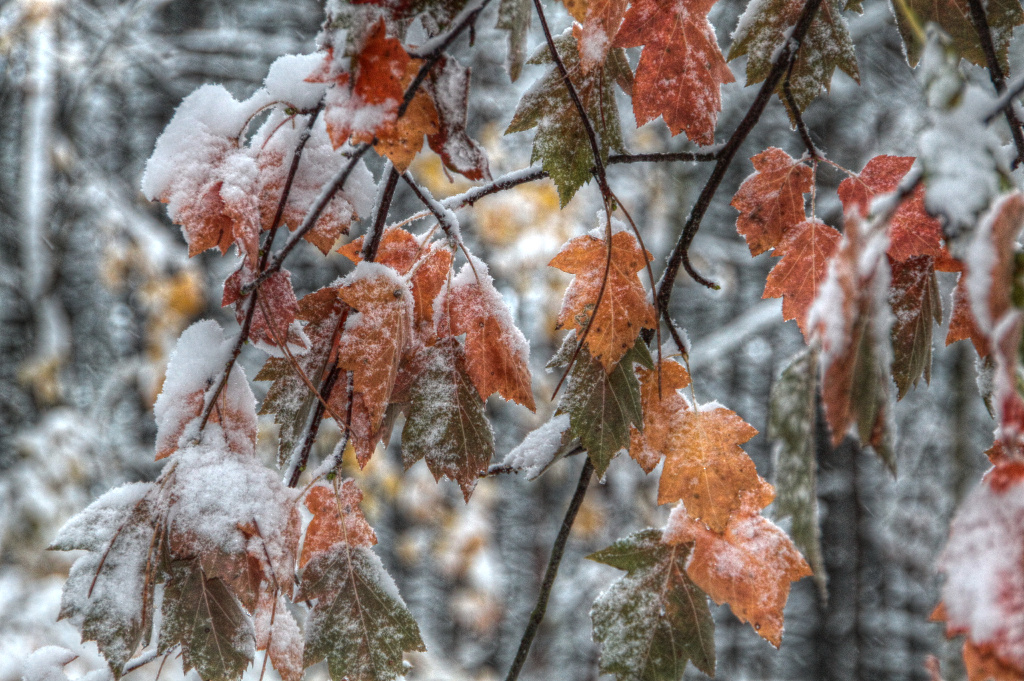 Herbst 2012