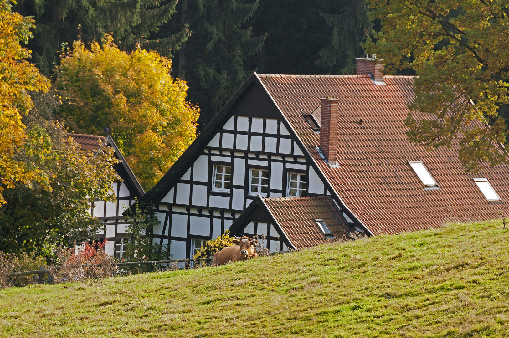 Herbst 2012 Georgmarienhütte