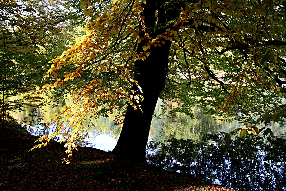 Herbst 2012 - II