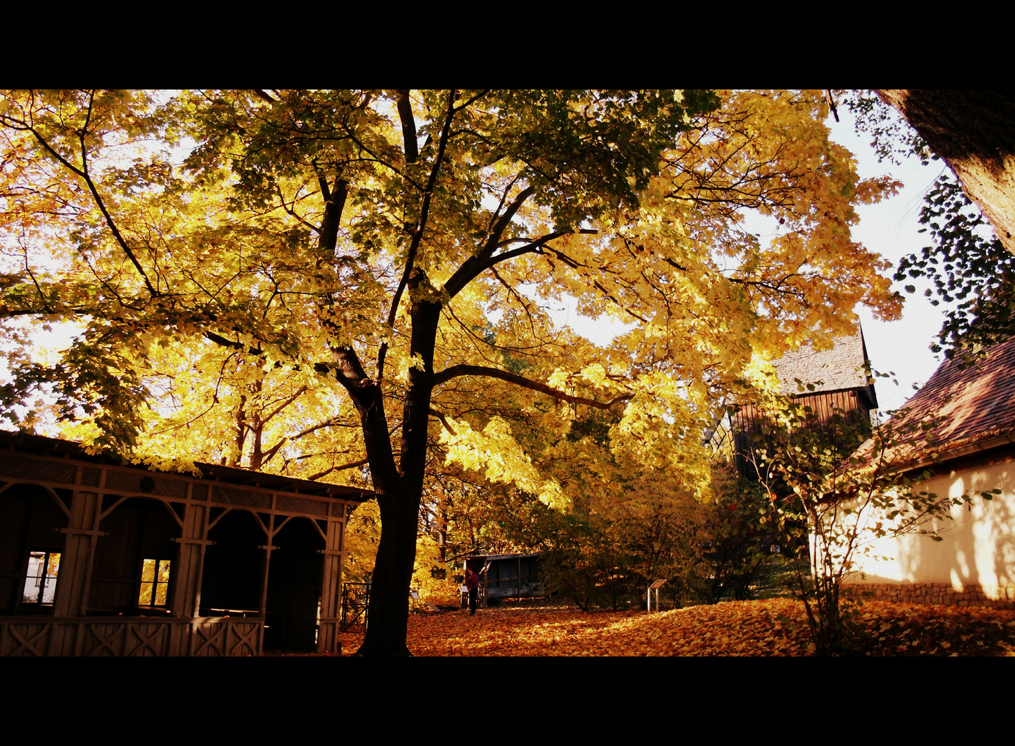 Herbst 2012 in Blankenhain