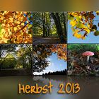 *Herbst 2013*