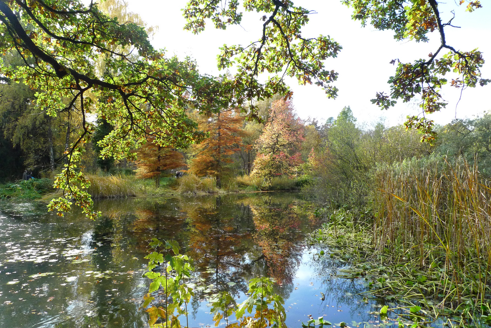 Herbst 2013