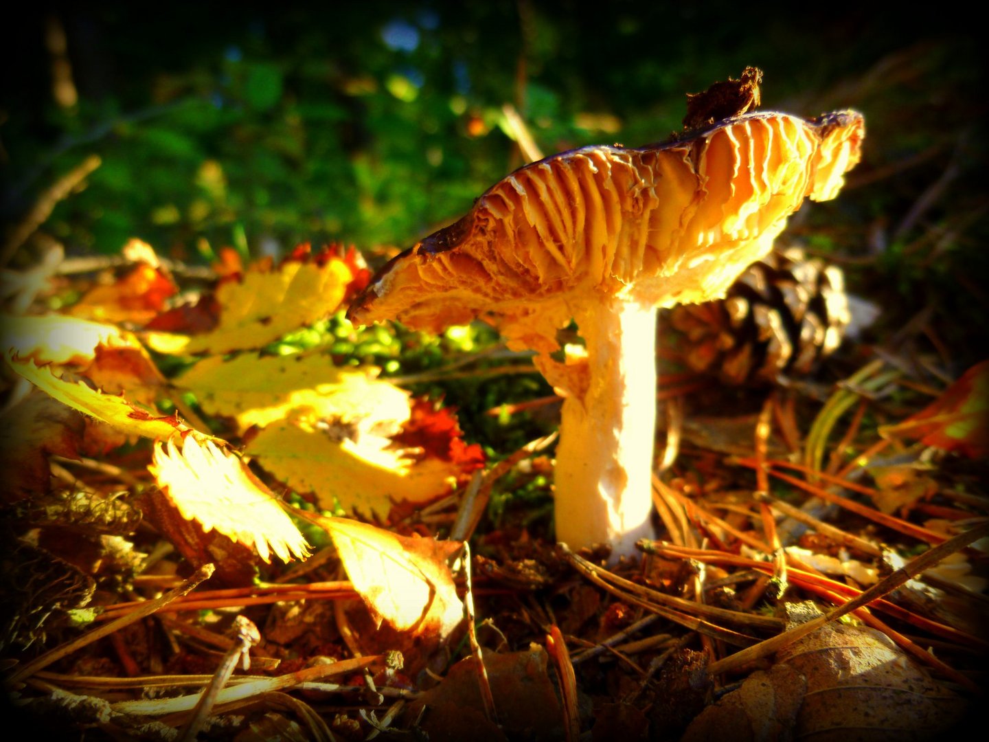 Herbst 2013