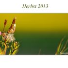 Herbst 2013