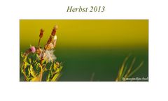 Herbst 2013