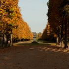 Herbst 2013 im Schlosspark Pillnitz