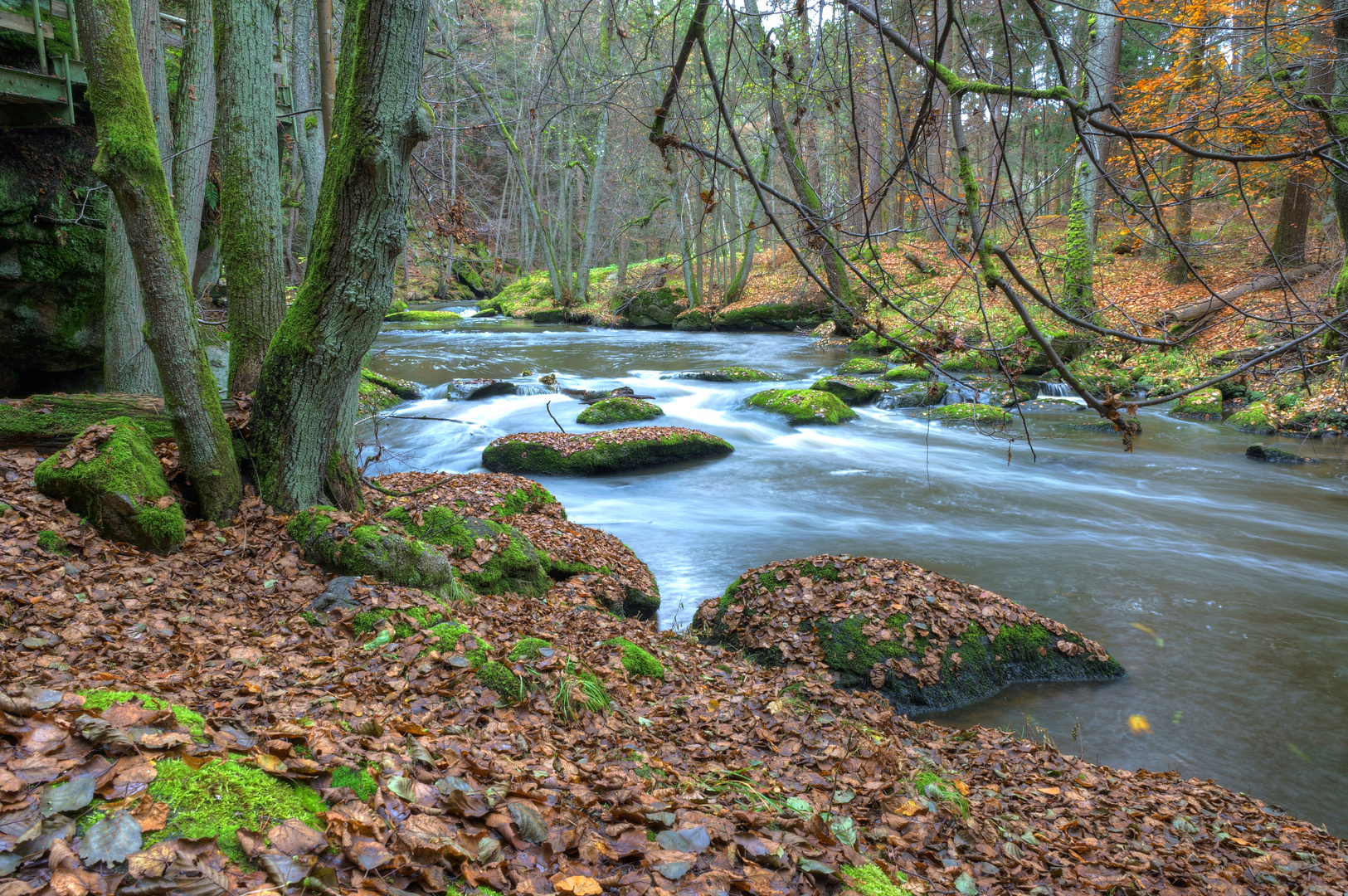 Herbst 2013 im Waldnaabtal