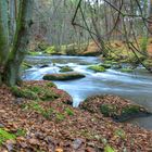 Herbst 2013 im Waldnaabtal