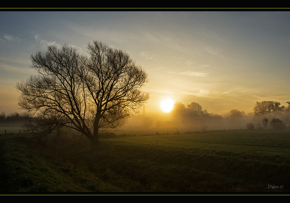 Herbst 2014-1