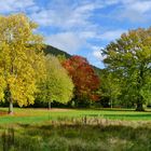 Herbst 2014 (1) - Im Kurgarten von Bad Wildungen-Reinhardshausen