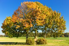 Herbst 2014