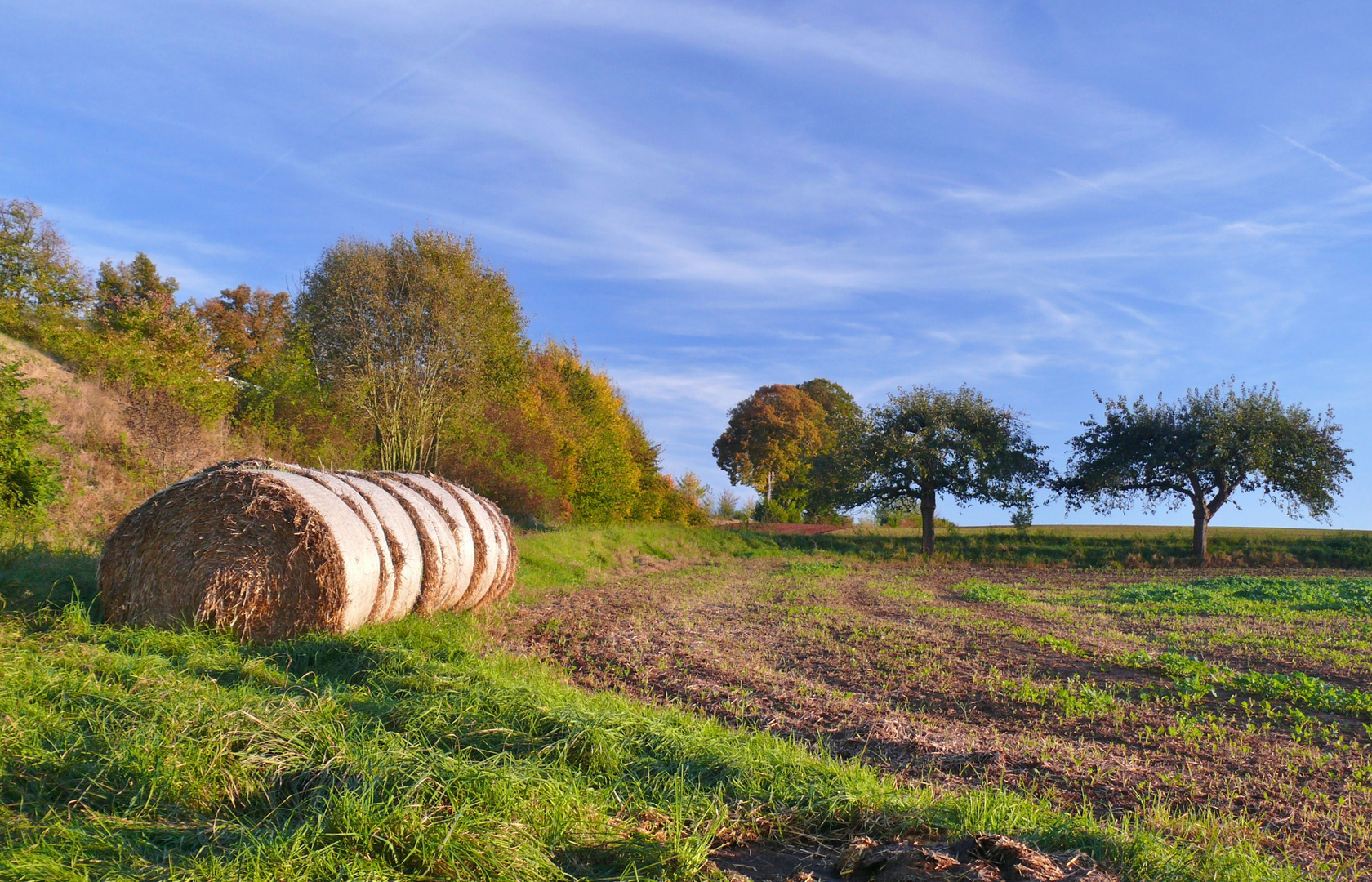 Herbst 2014 (2)