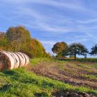 Herbst 2014 (2)