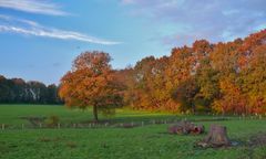 Herbst 2014 (4) - Im Licht der untergehenden Sonne