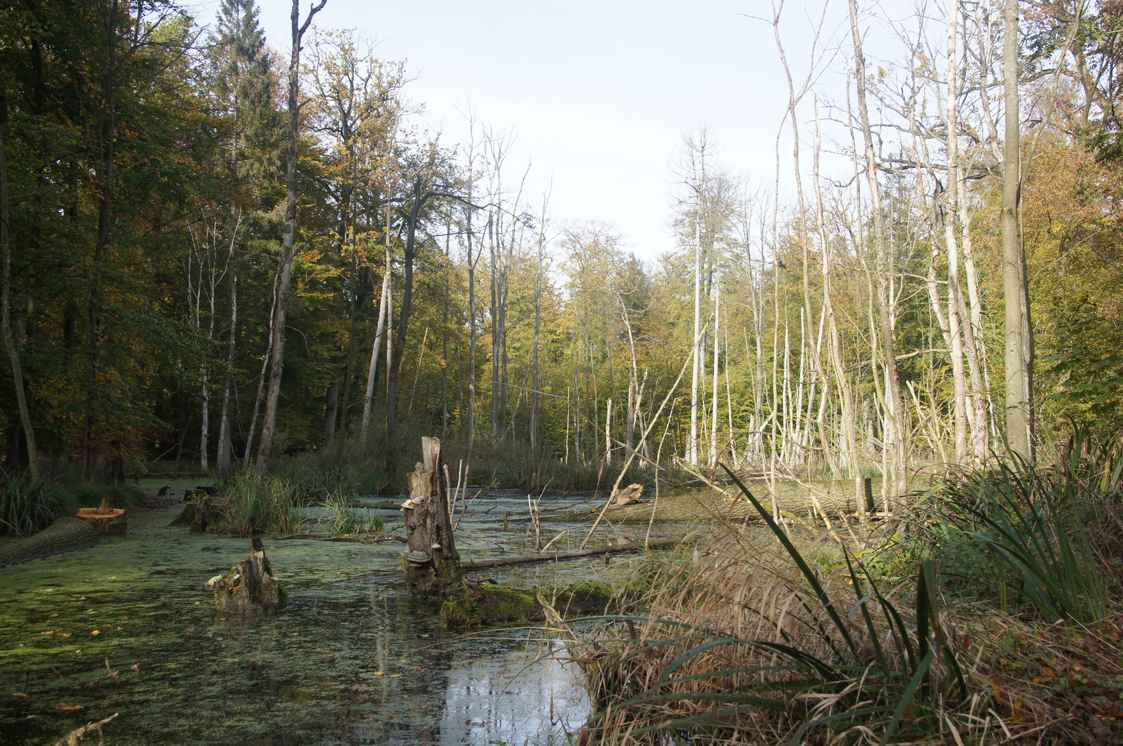 Herbst 2014