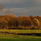 Herbst 2014