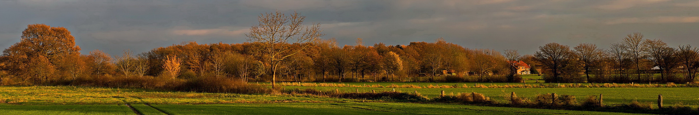 Herbst 2014