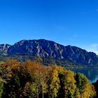 Herbst 2014 am Attersee!