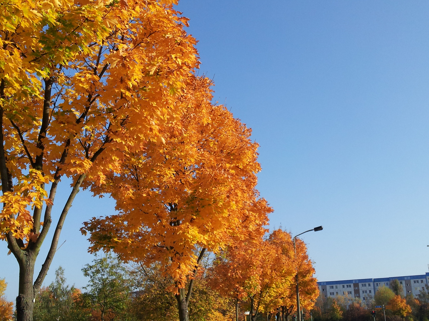 Herbst 2014 - Berlin