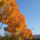 Herbst 2014 - Berlin