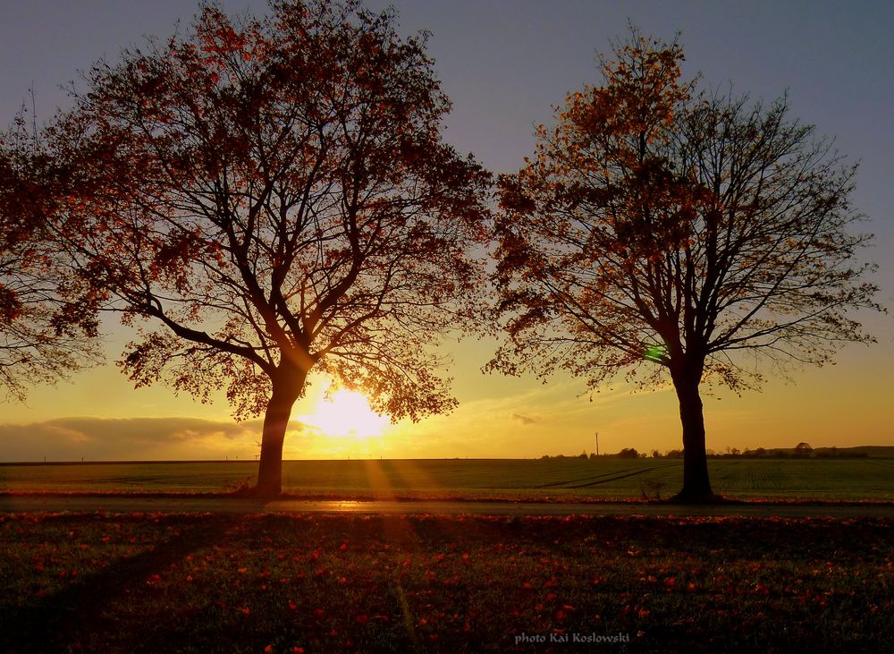 " Herbst 2014 Haarstrang Soest "