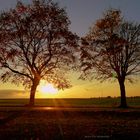 " Herbst 2014 Haarstrang Soest "