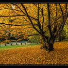 Herbst 2015-04