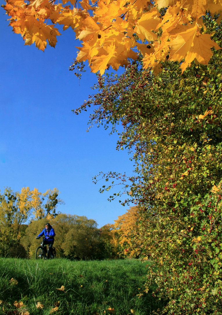 Herbst 2015