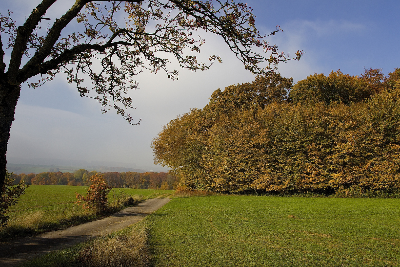 Herbst 2015