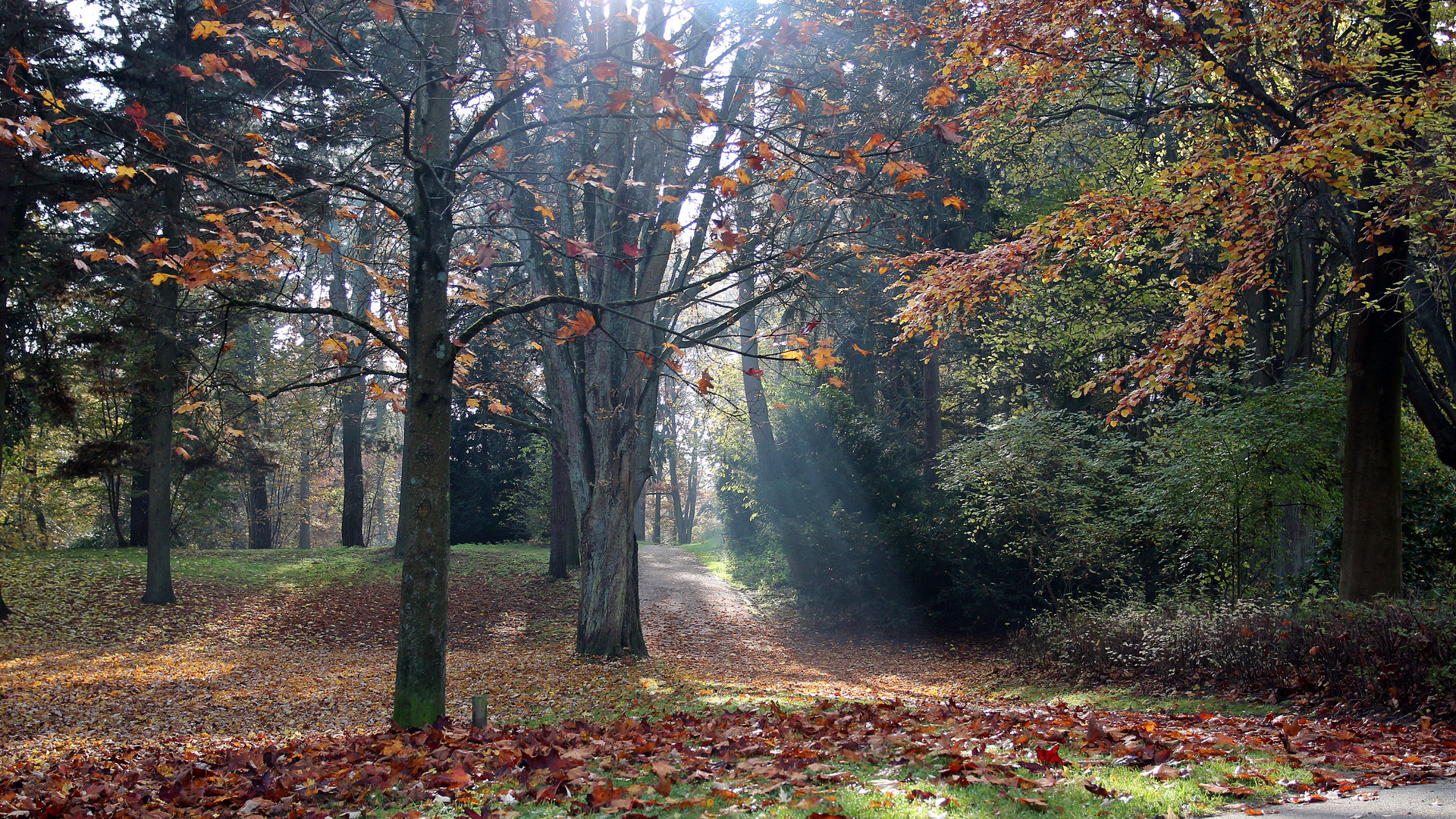 Herbst 2015 das 2te Bild