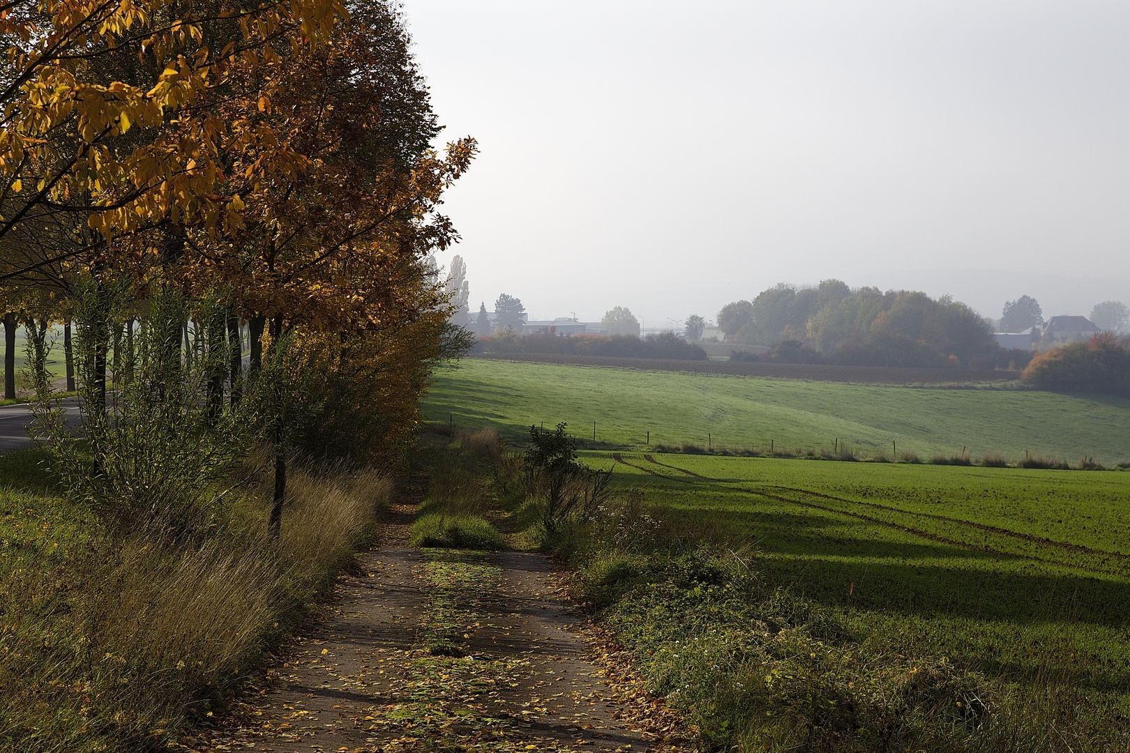 Herbst 2015 II