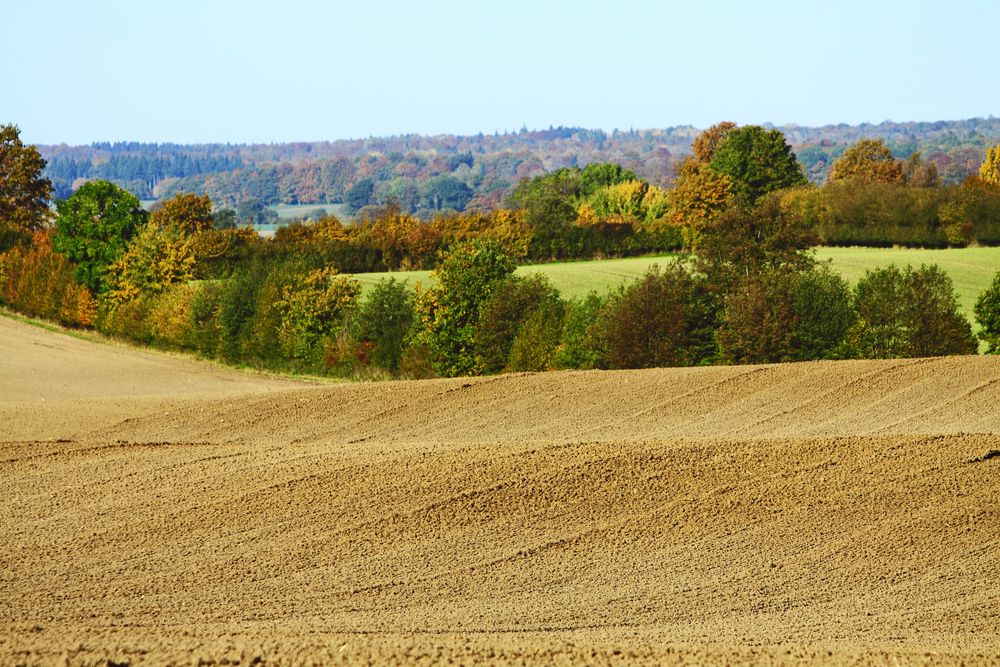 Herbst 2015 III