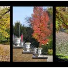 Herbst 2015 in der Kölner Flora