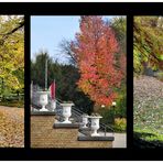 Herbst 2015 in der Kölner Flora