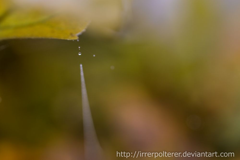 Herbst 2015 - Ist so ein Bild akzeptabel oder zu minimalistisch?