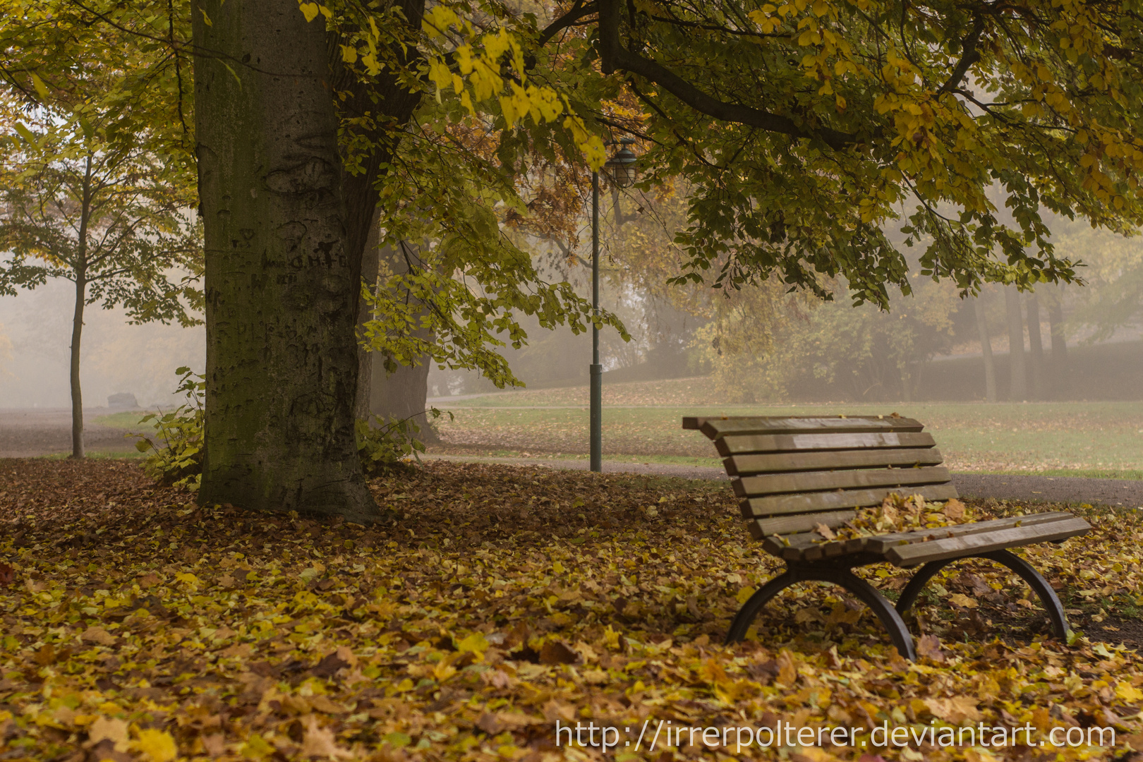 Herbst 2015 - Nebellicht