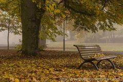 Herbst 2015 - Nebellicht