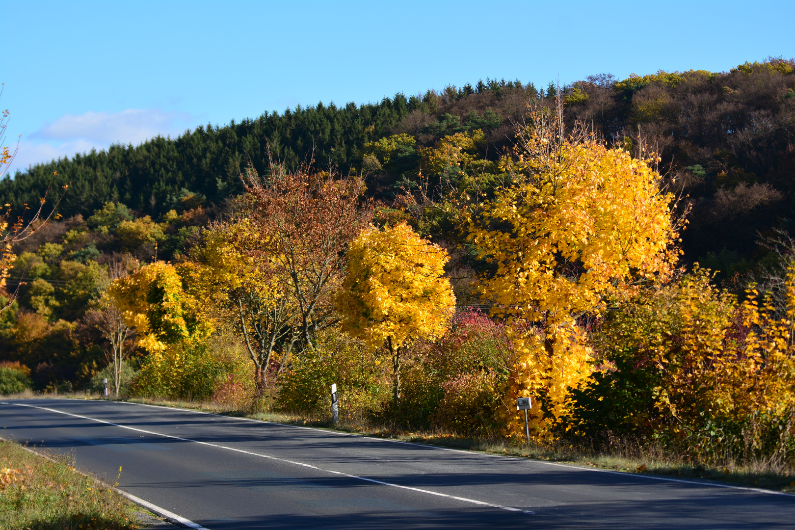 Herbst 2016 (1)