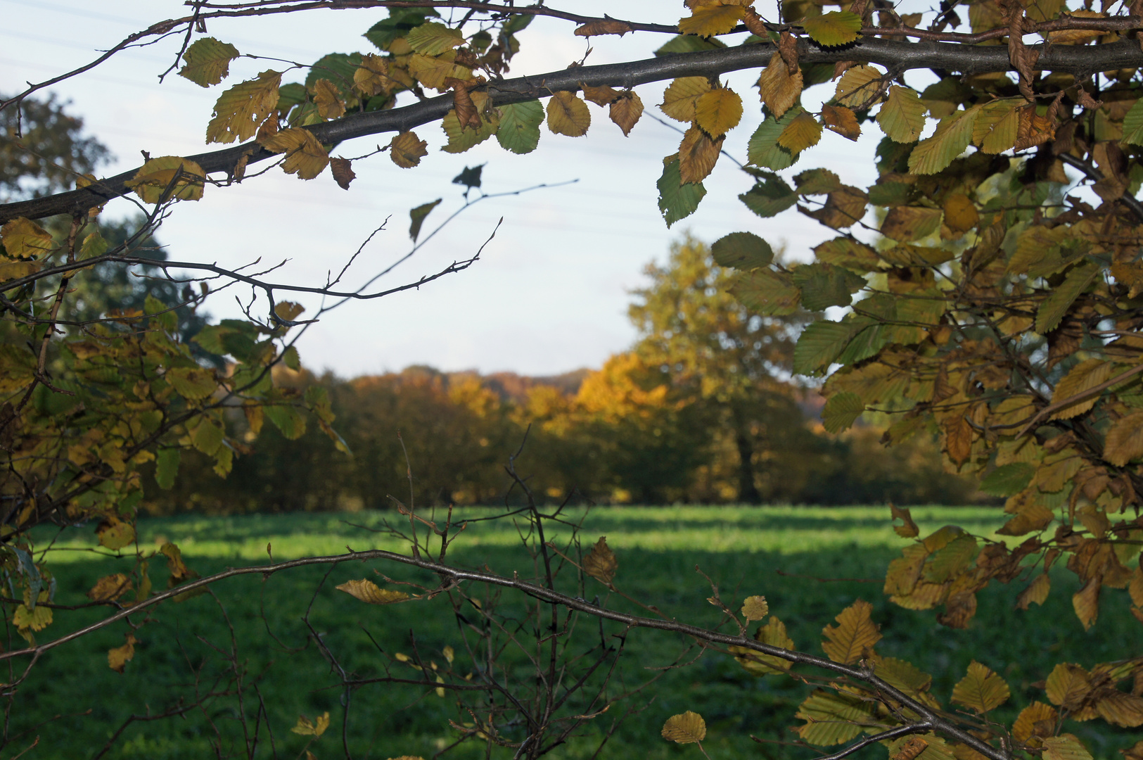 Herbst 2016