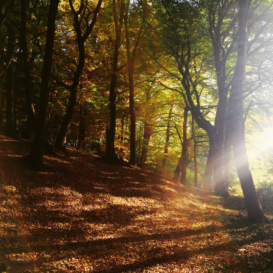 Herbst 2016