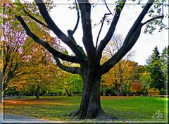 Herbst 2016