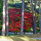 Herbst 2016