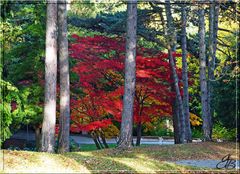 Herbst 2016