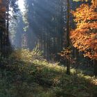 Herbst 2016 Aufnahme 1