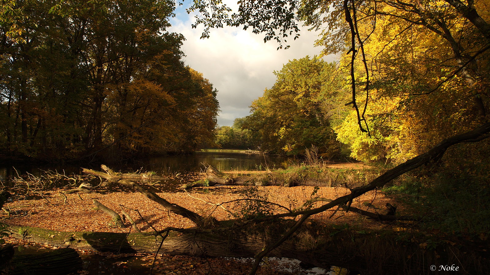 Herbst-2016_751