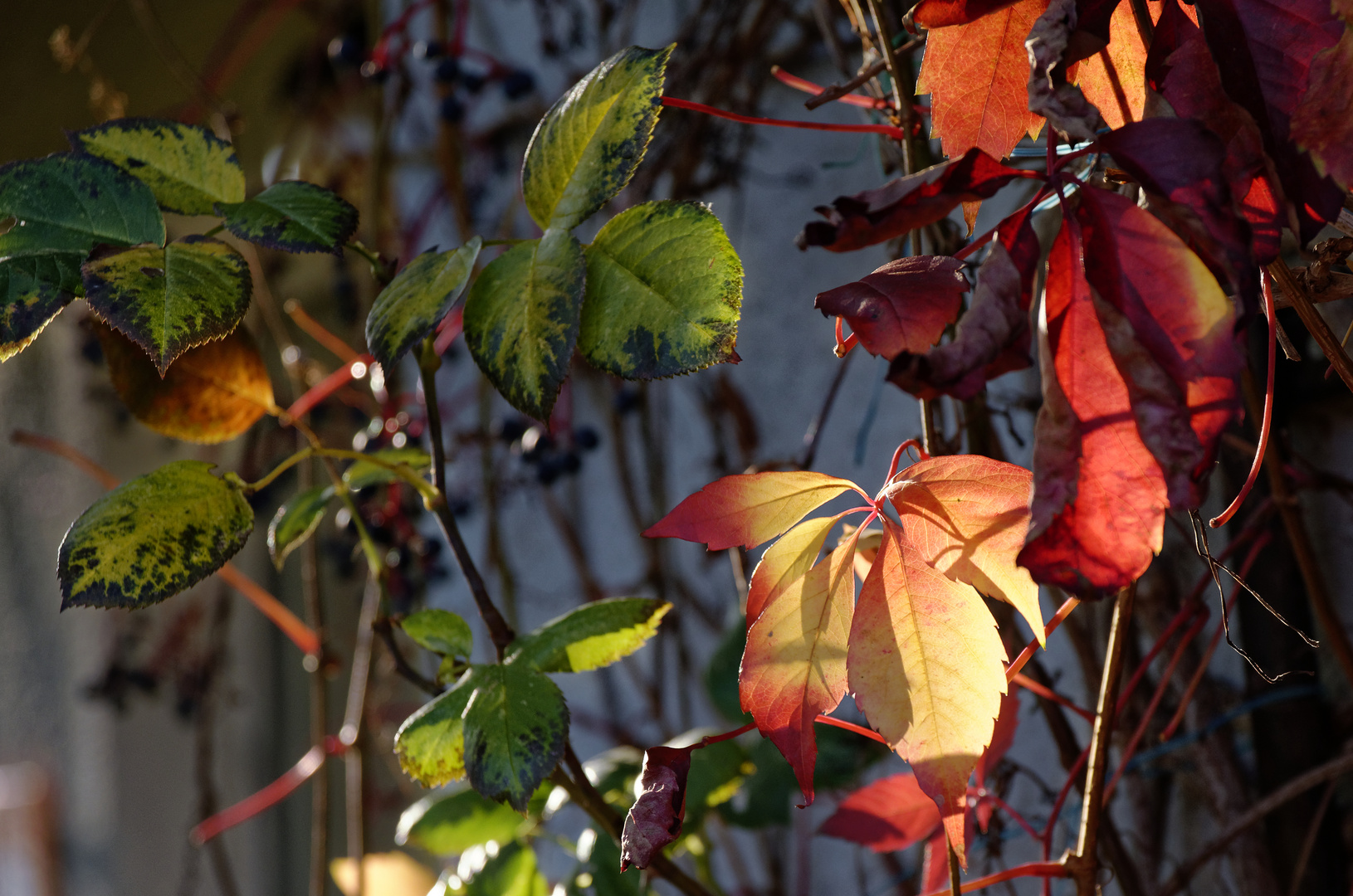 Herbst 2017