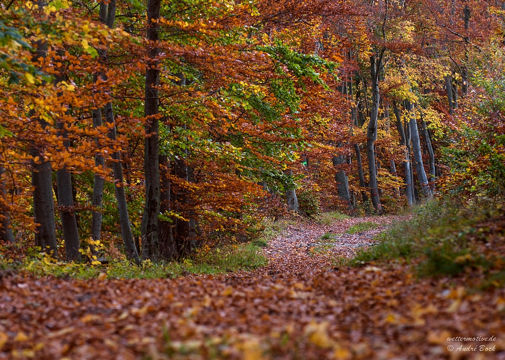 Herbst 2017