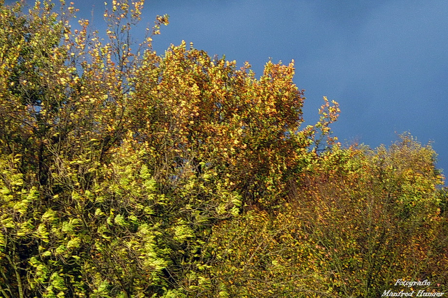 Herbst 2017