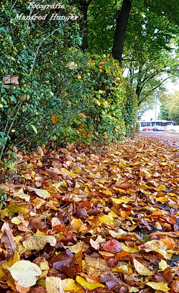 Herbst 2017