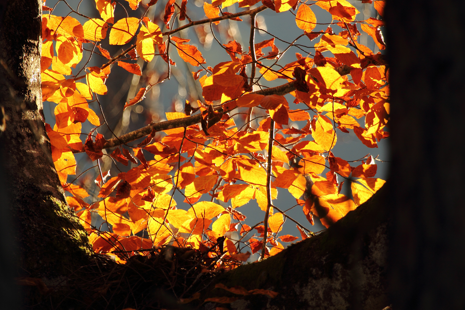 Herbst 2017 im Lechtal  - und seine schöne seiten 